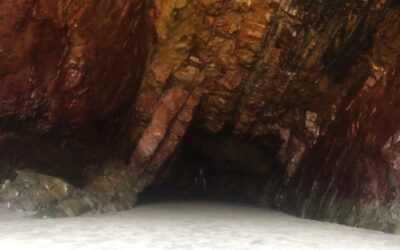 2_life_video